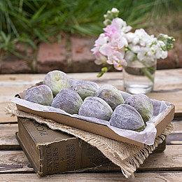 SNK格斗游戏情报合集 《拳皇15》追加新角色